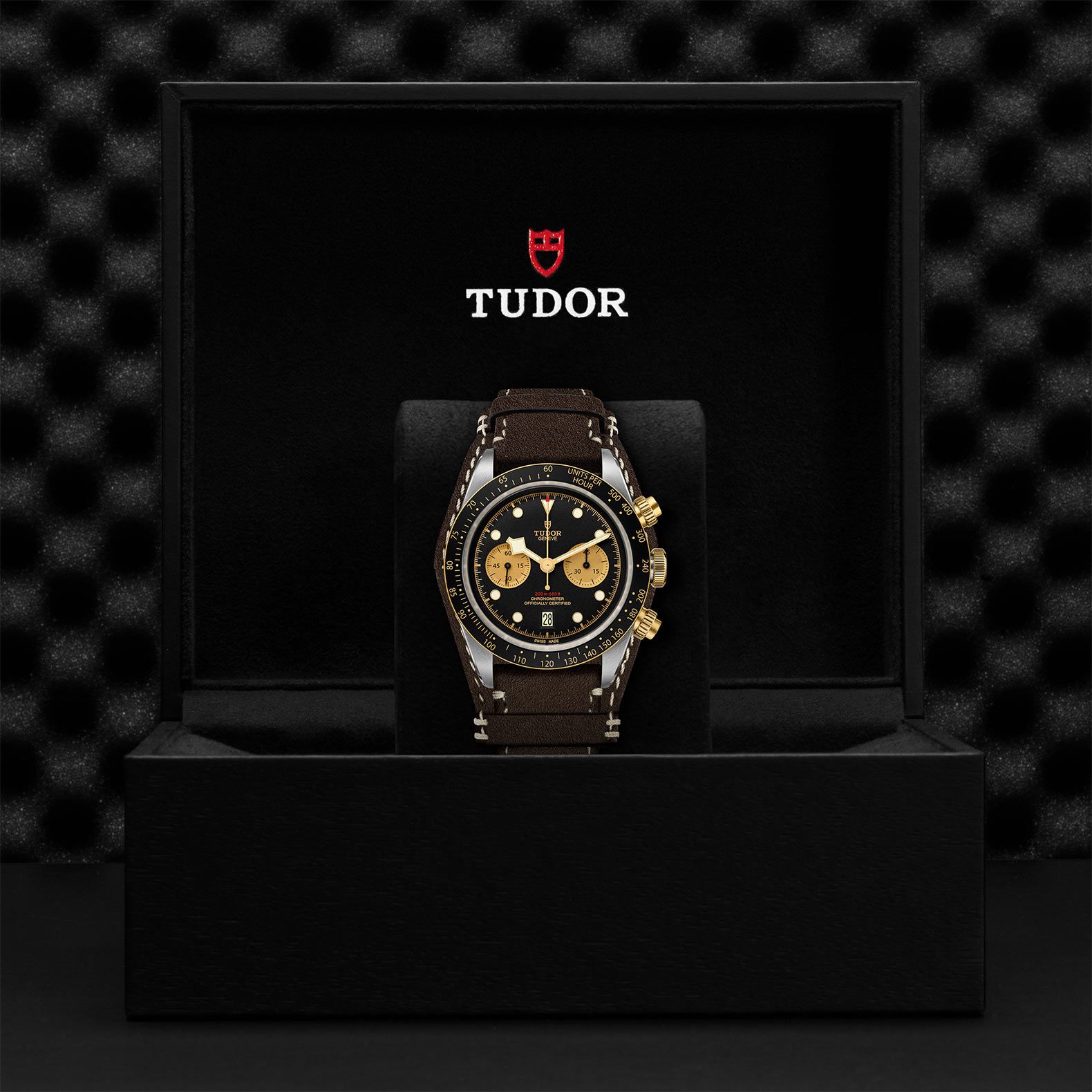 Tudor BLACK BAY CHRONO S&G M79363n-0002