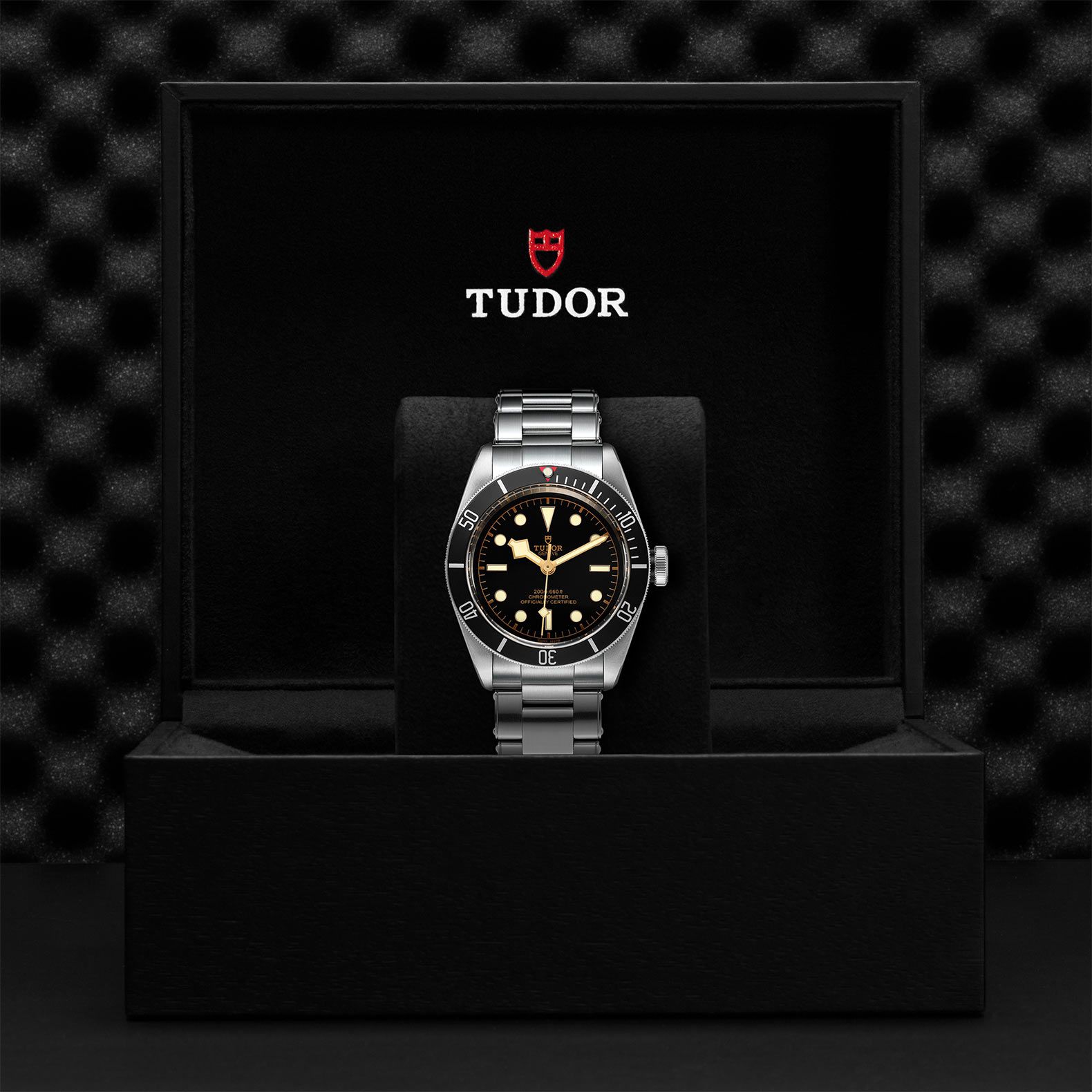 Tudor BLACK BAY M79230n-0009