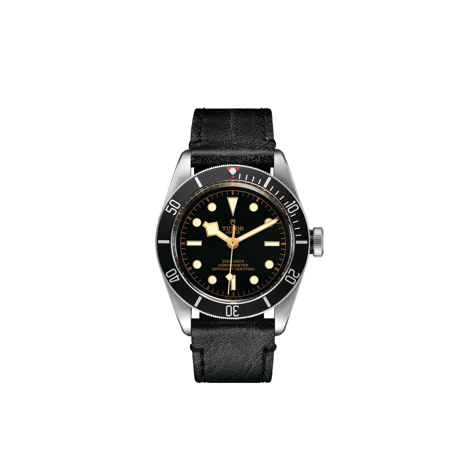 Tudor BLACK BAY - M79230N-0008