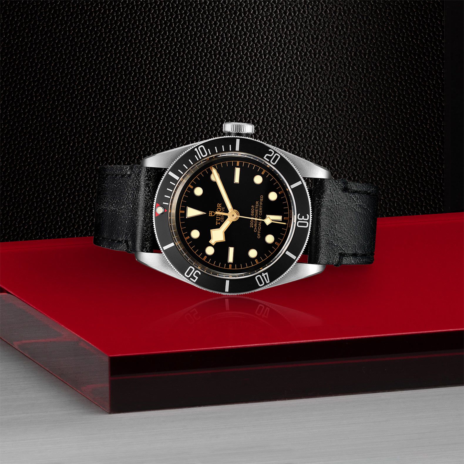 Tudor BLACK BAY - M79230N-0008