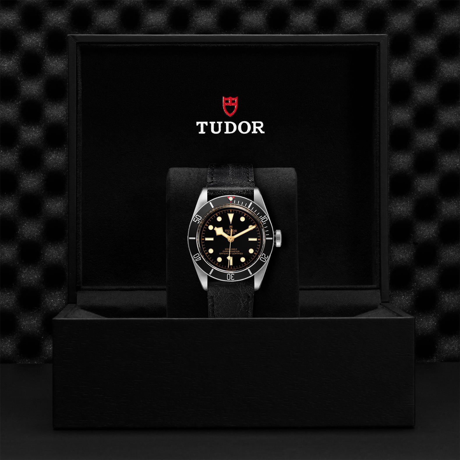 Tudor BLACK BAY - M79230N-0008