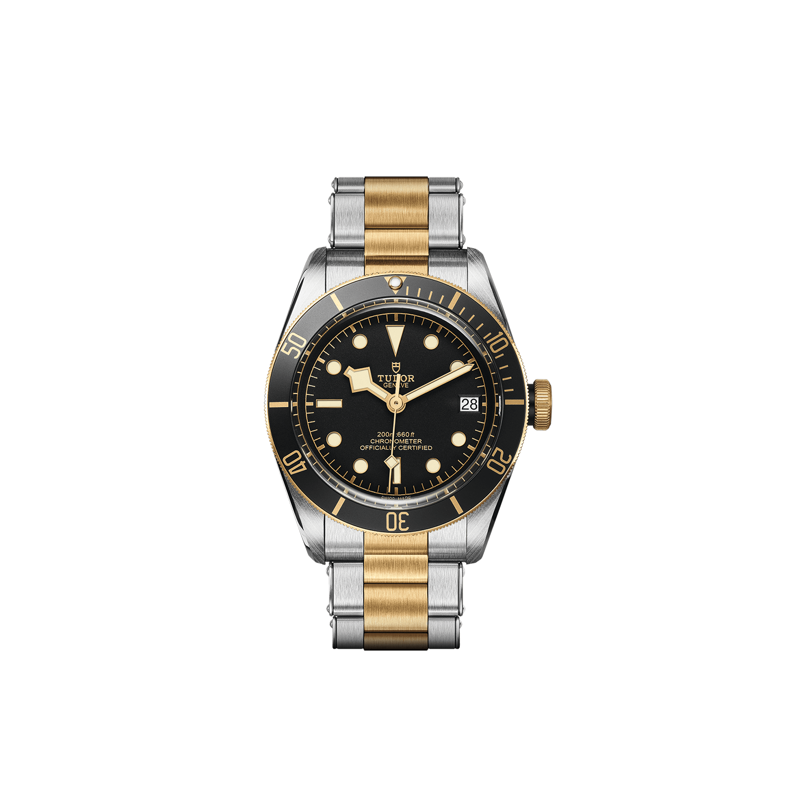 Tudor BLACK BAY S&G - M79733N-0008