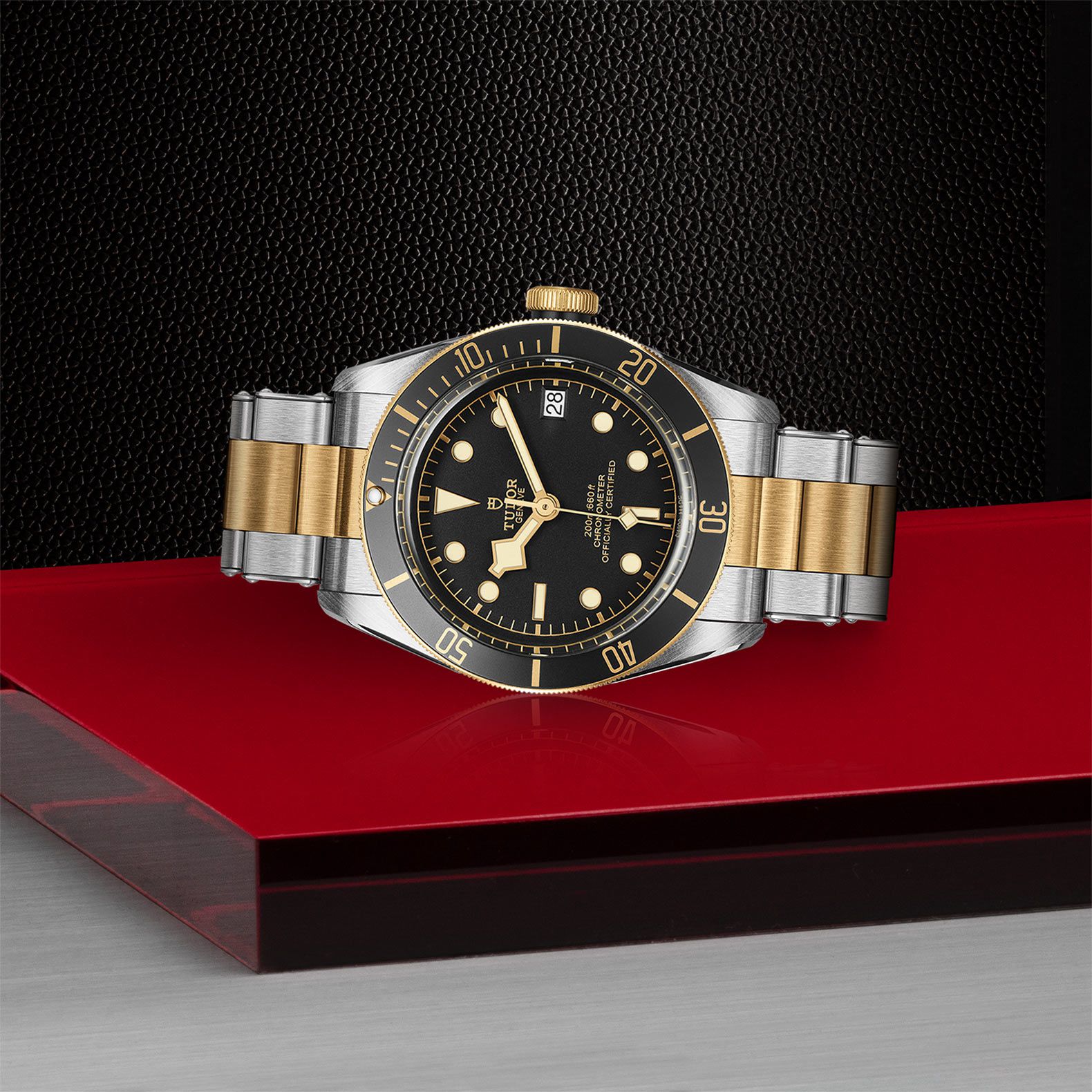 Tudor BLACK BAY S&G - M79733N-0008