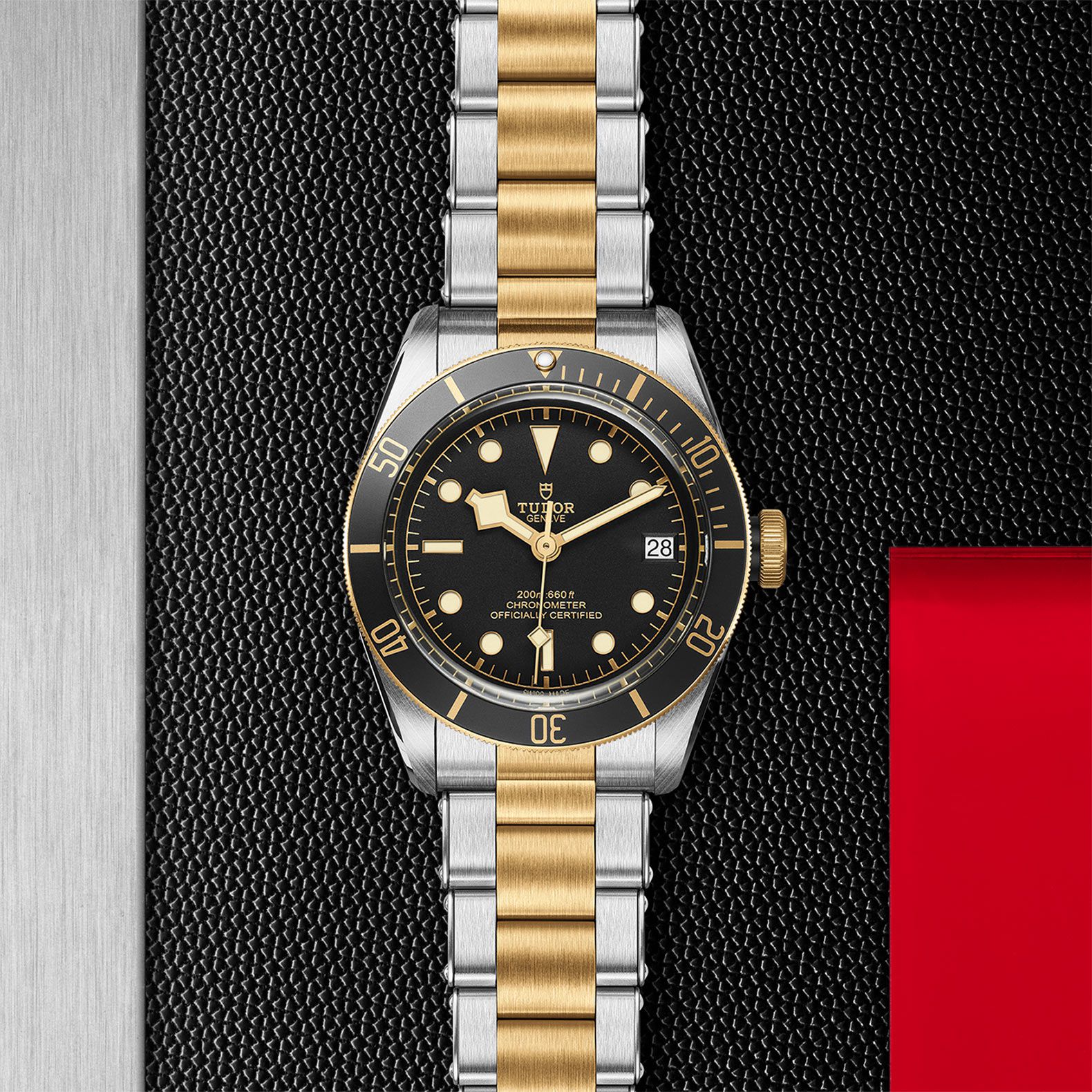 Tudor BLACK BAY S&G - M79733N-0008