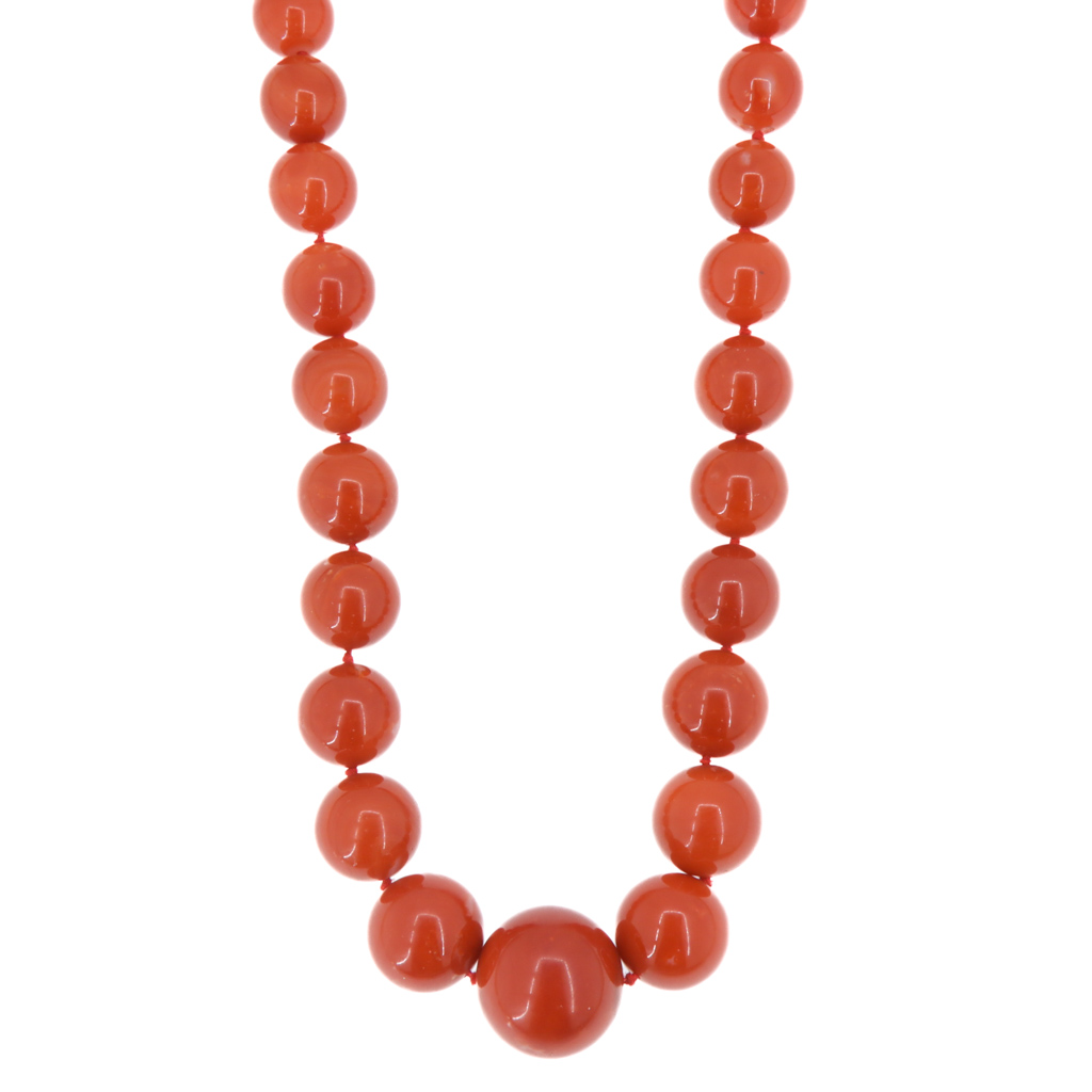 COLL.COR.SARDO SUS.BR.OG. OB.TRAFORO b 0,24 C 101