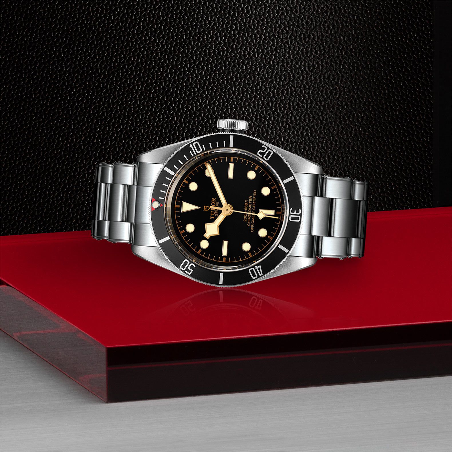 Tudor BLACK BAY M79230n-0009