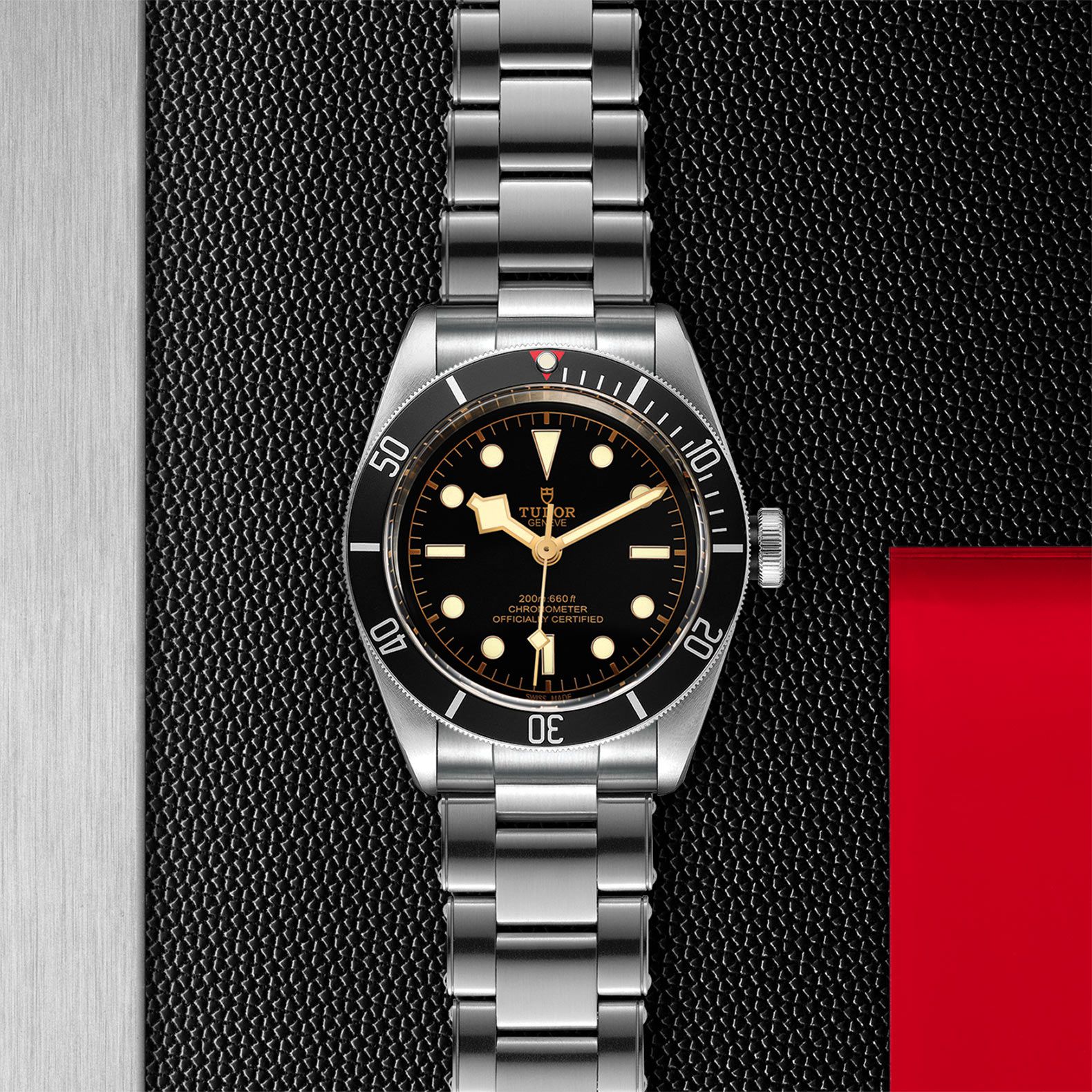 Tudor BLACK BAY M79230n-0009