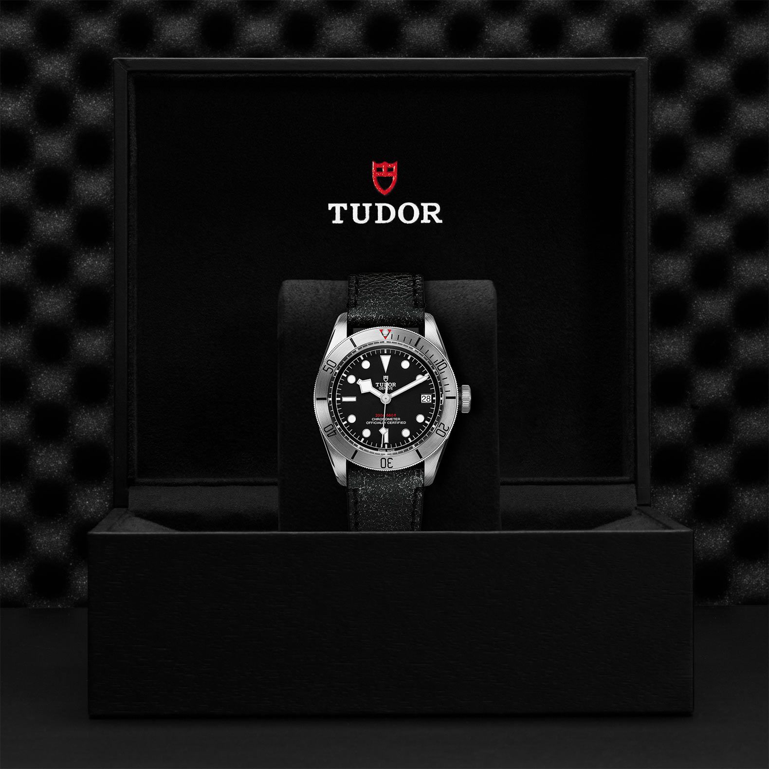 Tudor BLACK BAY STEEL - M79730-0005